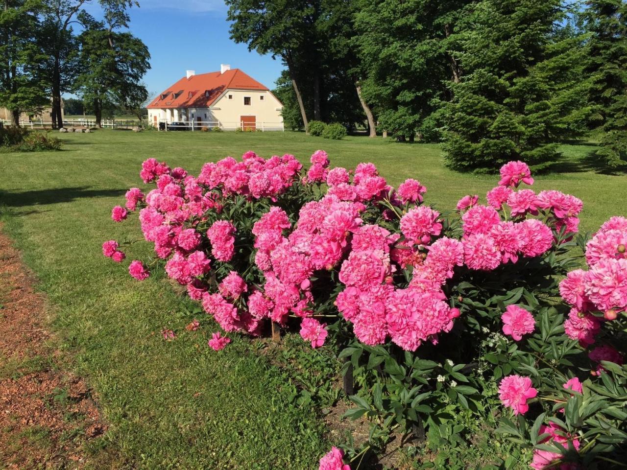 Ontika Boutique Guesthouse Eksteriør billede